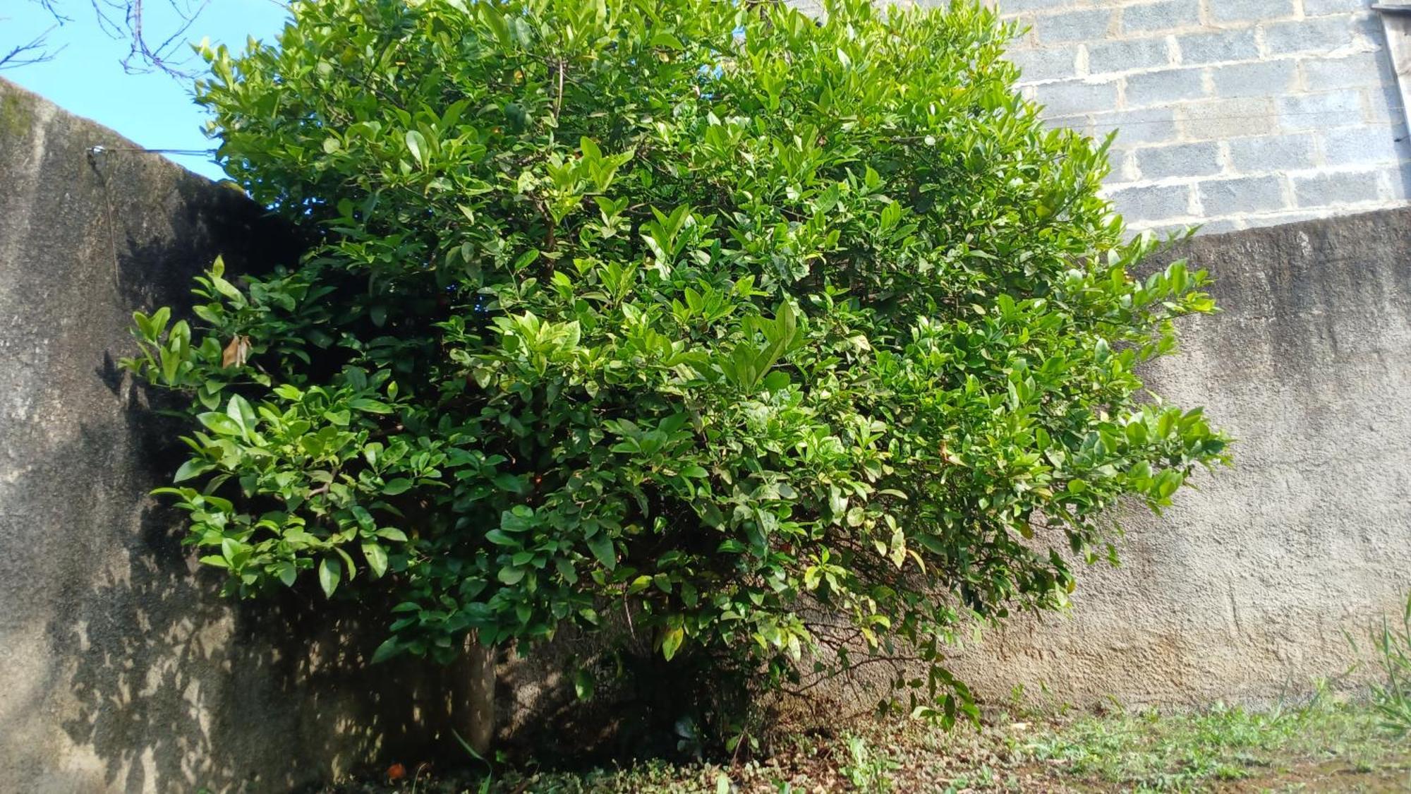 Chale Refugio Villa Monte Verde  Phòng bức ảnh